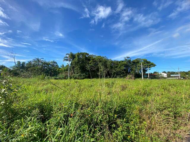 Terreno para Venda em Balneário Barra do Sul - 3