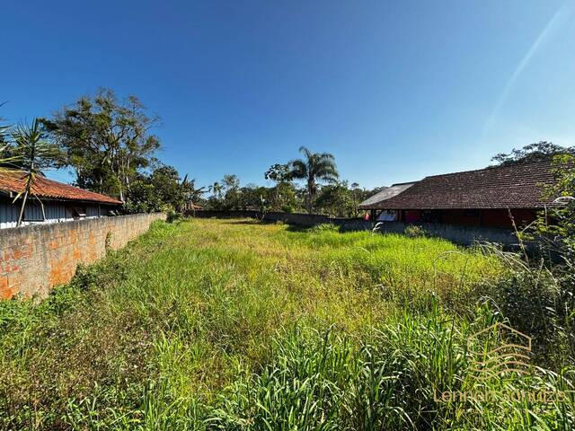 Terreno para Venda em Balneário Barra do Sul - 4