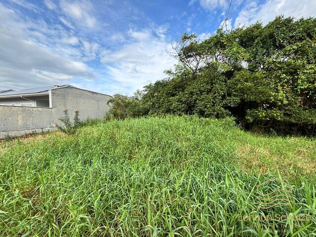 #0234 - Terreno para Venda em Balneário Barra do Sul - SC - 3