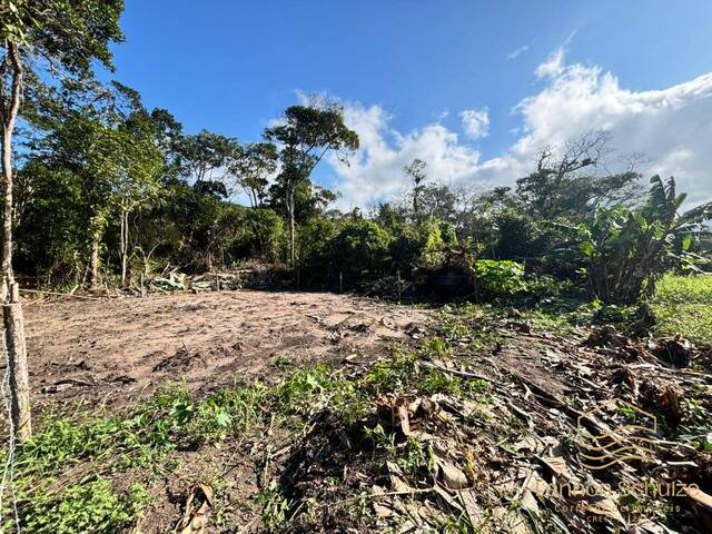 #0248 - Terreno para Venda em Balneário Barra do Sul - SC - 2