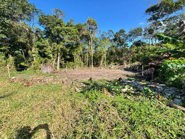 #0248 - Terreno para Venda em Balneário Barra do Sul - SC - 3