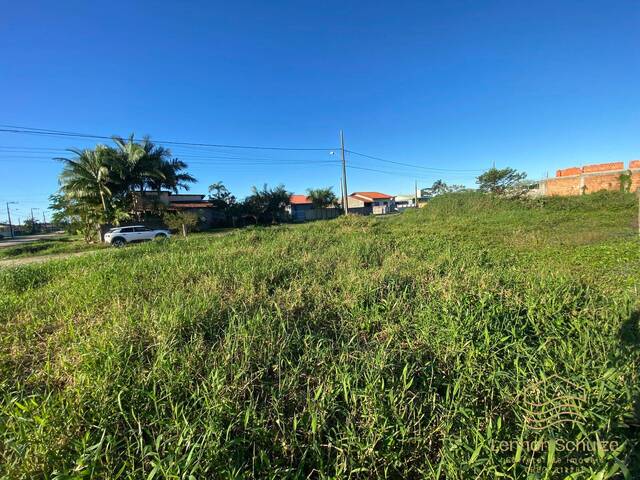Terreno para Venda em Balneário Barra do Sul - 5