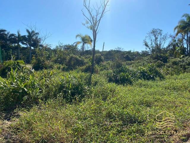 Terreno para Venda em Balneário Barra do Sul - 4