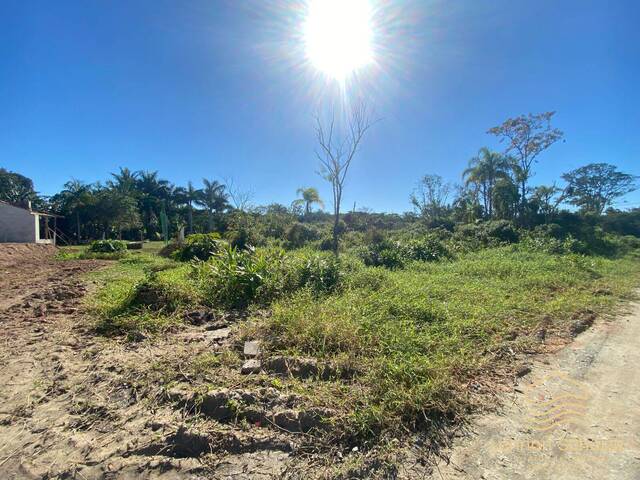 Venda em Pinheiros - Balneário Barra do Sul