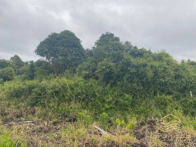 #0306 - Área para Venda em Balneário Barra do Sul - SC