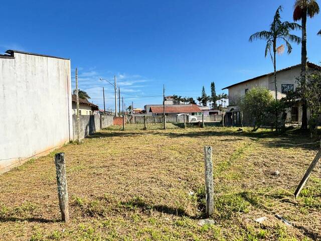 #0335 - Terreno para Venda em Balneário Barra do Sul - SC - 3