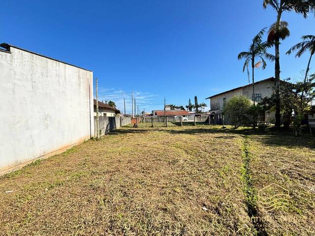Venda em Centro - Balneário Barra do Sul