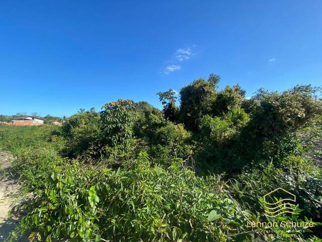 #0350 - Terreno para Venda em Balneário Barra do Sul - SC - 3