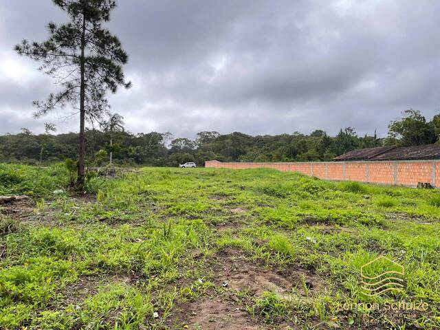 #0364 - Terreno para Venda em Balneário Barra do Sul - SC - 3