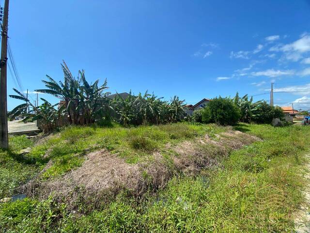 #0377 - Terreno para Venda em Balneário Barra do Sul - SC - 2