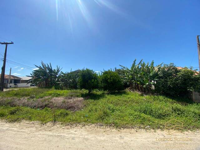 #0377 - Terreno para Venda em Balneário Barra do Sul - SC - 3