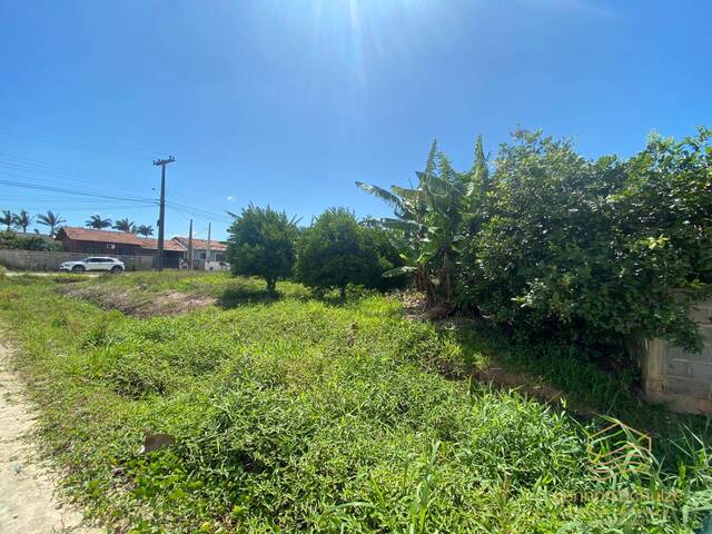 Terreno para Venda em Balneário Barra do Sul - 5