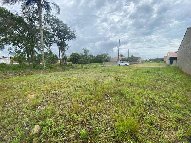 #0378 - Terreno para Venda em Balneário Barra do Sul - SC - 3