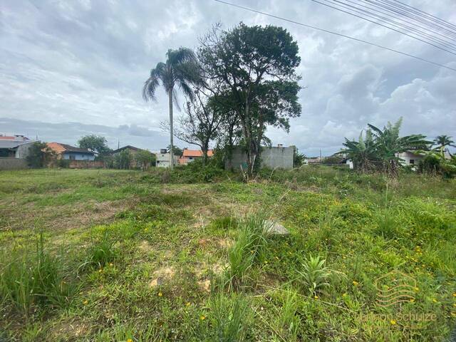 #0379 - Terreno para Venda em Balneário Barra do Sul - SC - 1