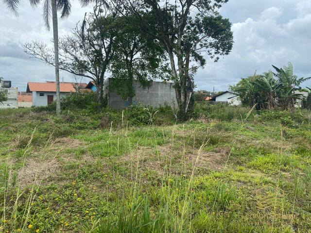 Terreno para Venda em Balneário Barra do Sul - 5