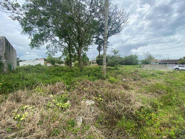 #0379 - Terreno para Venda em Balneário Barra do Sul - SC - 2
