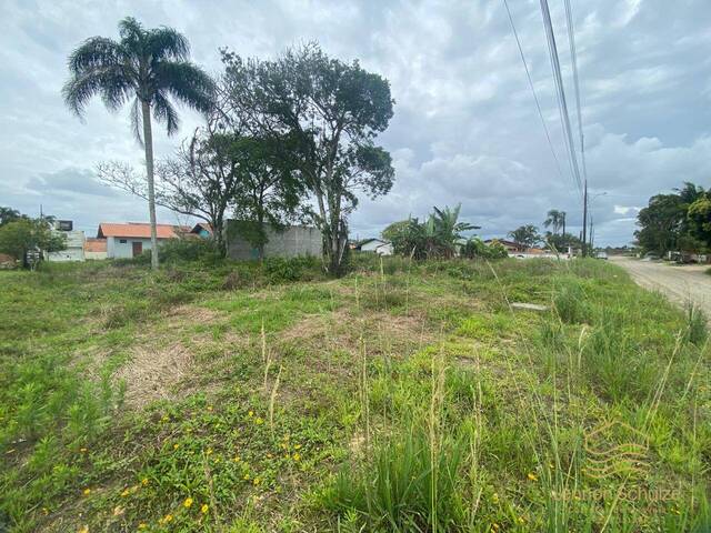 Terreno para Venda em Balneário Barra do Sul - 4