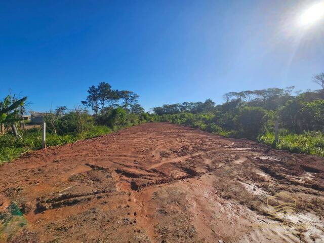 #0383 - Terreno para Venda em Balneário Barra do Sul - SC - 1