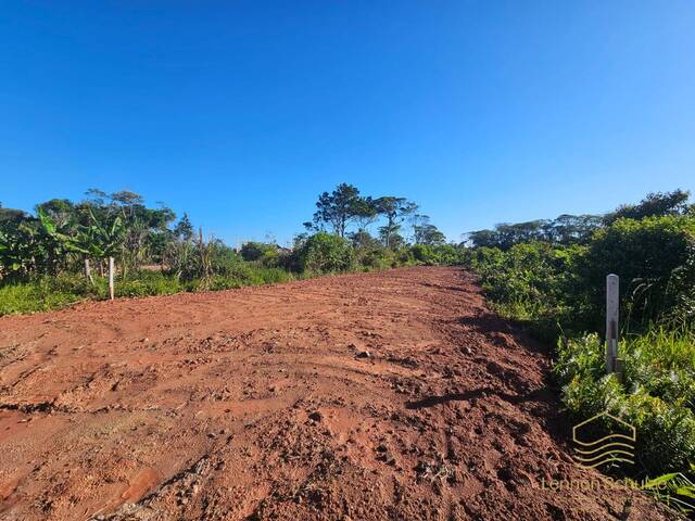 #0383 - Terreno para Venda em Balneário Barra do Sul - SC - 3