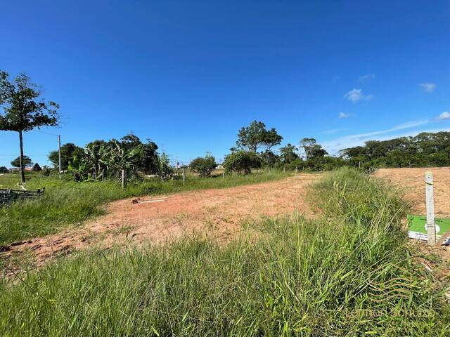 #0383 - Terreno para Venda em Balneário Barra do Sul - SC - 2
