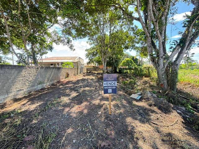 #0480 - Terreno para Venda em Balneário Barra do Sul - SC - 1
