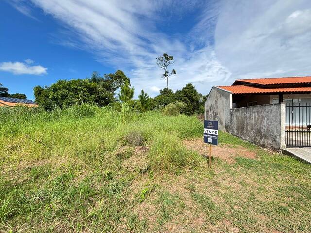 #0496 - Terreno para Venda em Balneário Barra do Sul - SC - 1