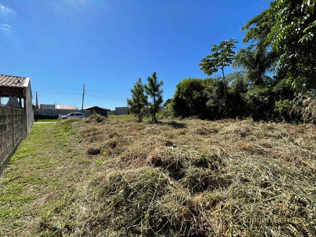 Terreno para Venda em Balneário Barra do Sul - 5