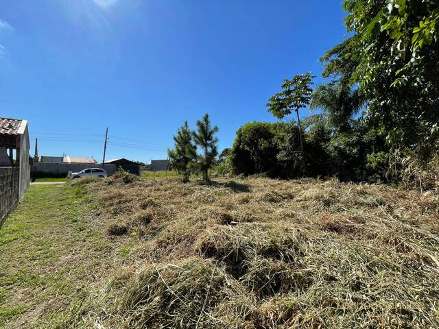 Terreno para Venda em Balneário Barra do Sul - 4