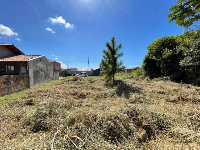 #0496 - Terreno para Venda em Balneário Barra do Sul - SC - 3