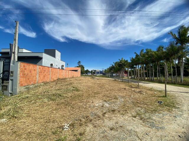 Terreno para Venda em Balneário Barra do Sul - 5