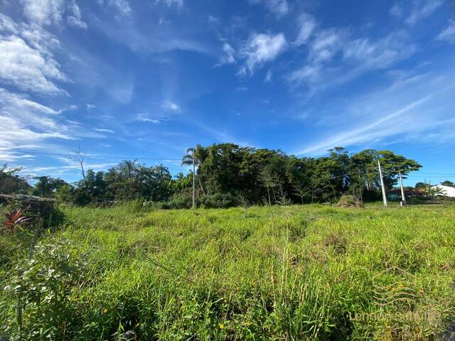 Terreno para Venda em Balneário Barra do Sul - 2