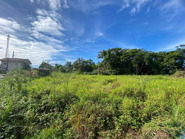 Terreno para Venda em Balneário Barra do Sul - 3