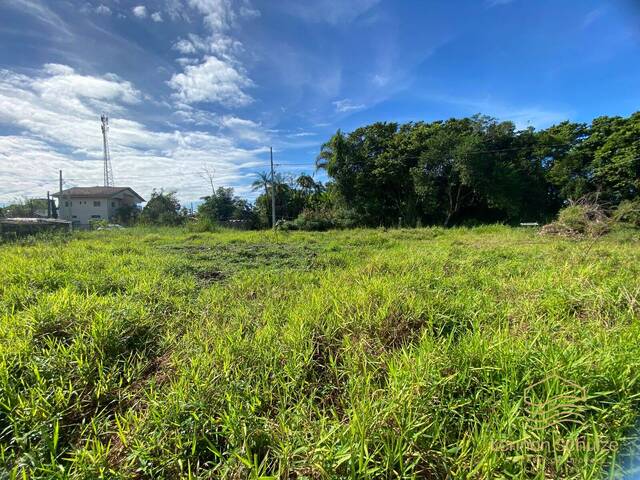 Terreno para Venda em Balneário Barra do Sul - 4