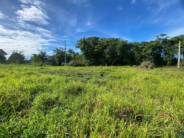 Terreno para Venda em Balneário Barra do Sul - 2