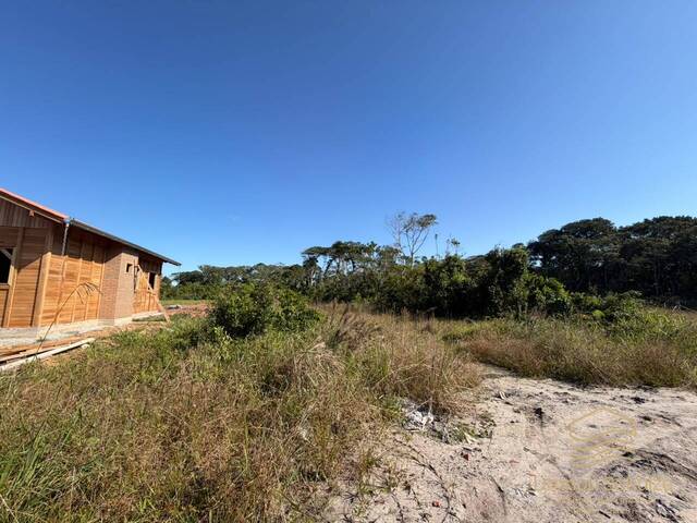 Terreno para Venda em Balneário Barra do Sul - 5