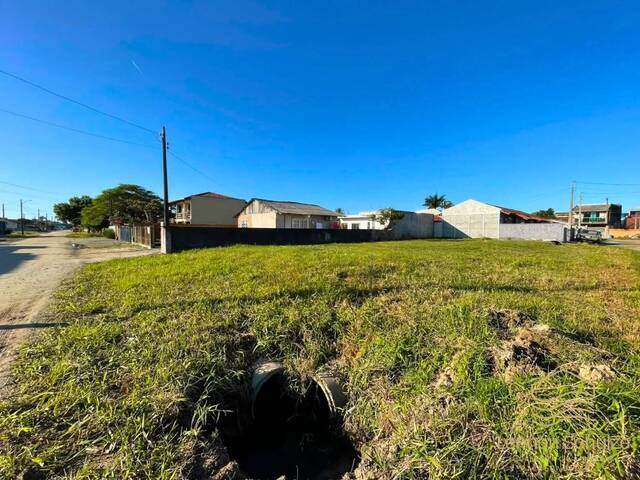 Terreno para Venda em Balneário Barra do Sul - 4