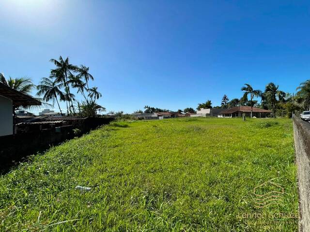 Terreno para Venda em Araquari - 4